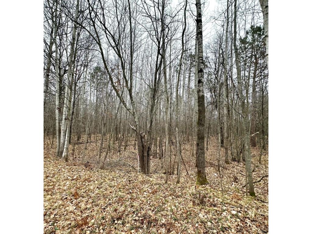 Lot 1 1.65+/- Acres 295th Avenue Holcombe WI 54745 1589055 image1