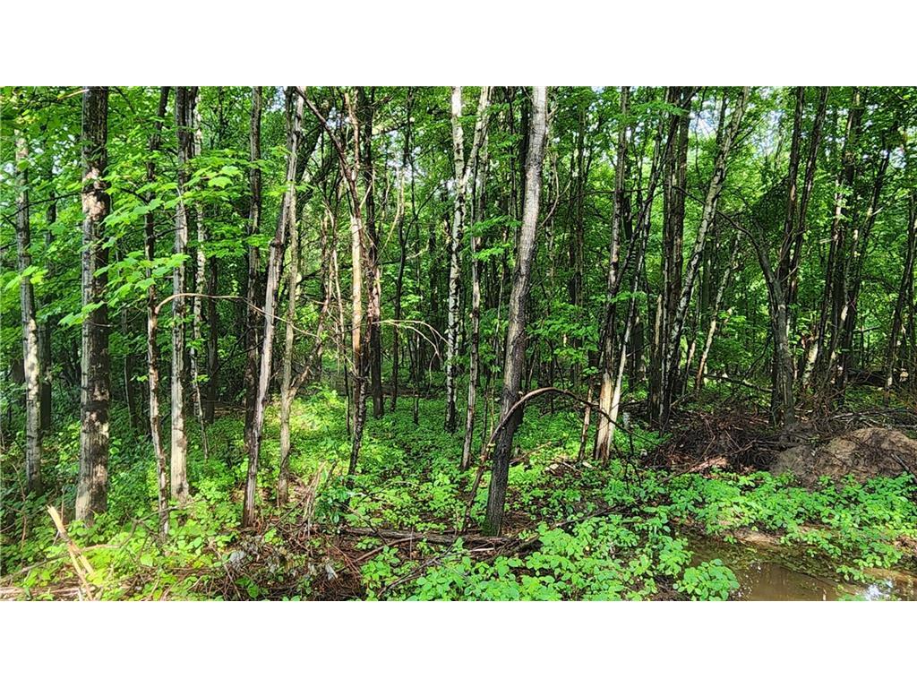 Lot 1 (10.64 Acres) County Road M Elk Mound WI 54739 1583236 image1