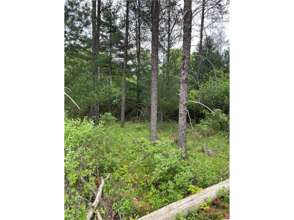 Lot 1 112th Street Chippewa Falls WI 54729 1564987 image6