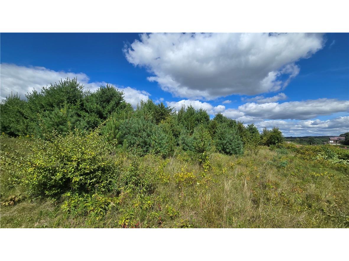 Lot 1 118th St Chippewa Falls WI 54729 1595340 image4