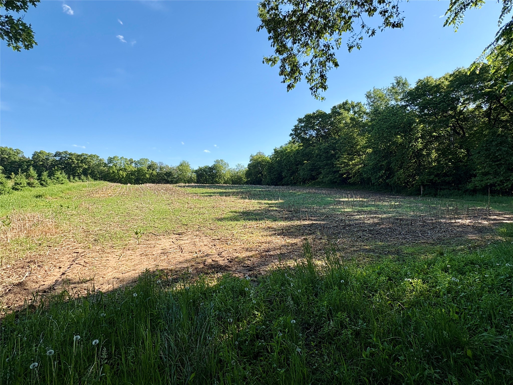 Lot 1 160th Ave Maiden Rock WI 54750 1601970 image11