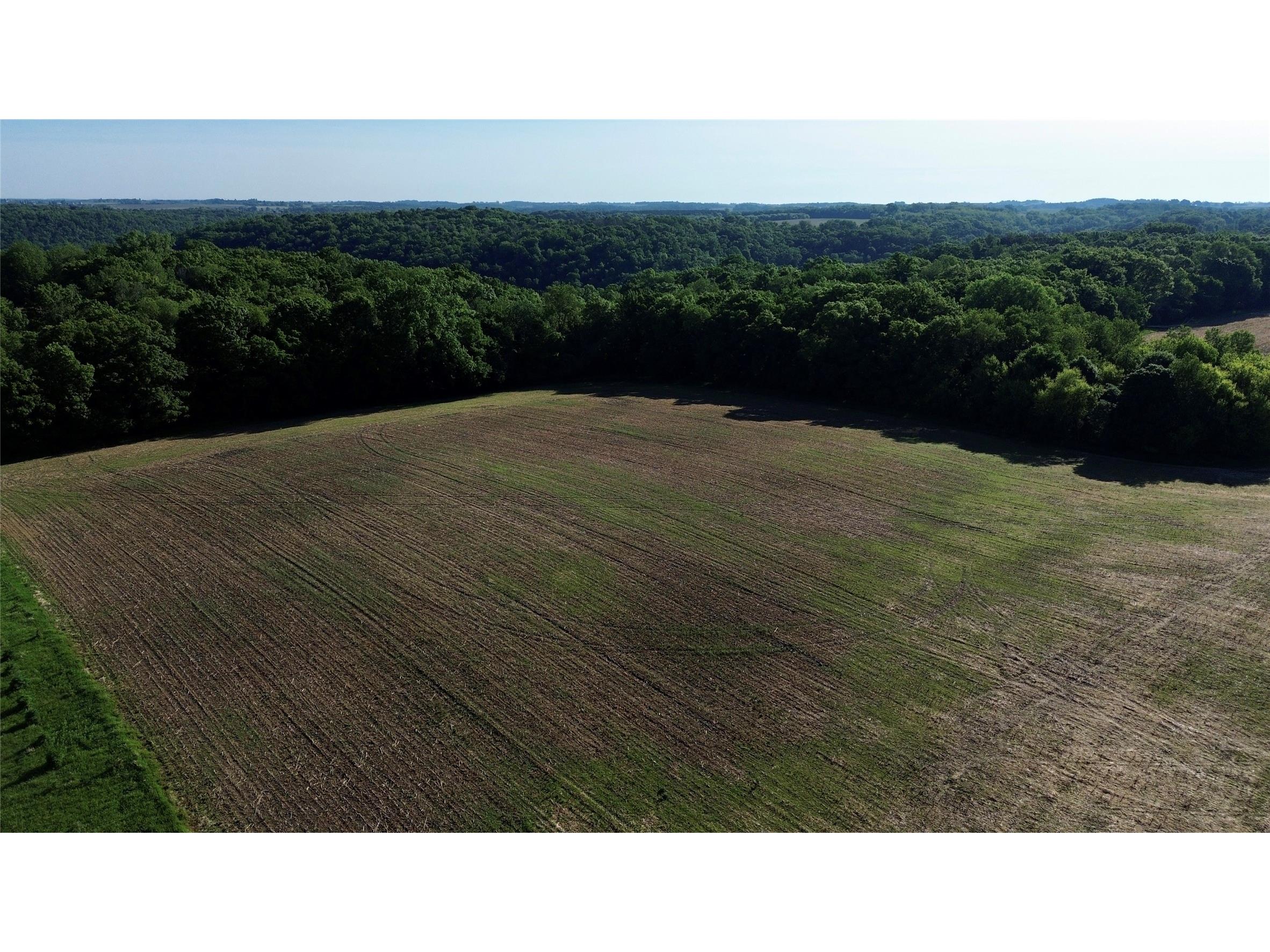 Lot 1 160th Ave Maiden Rock WI 54750 1601970 image13
