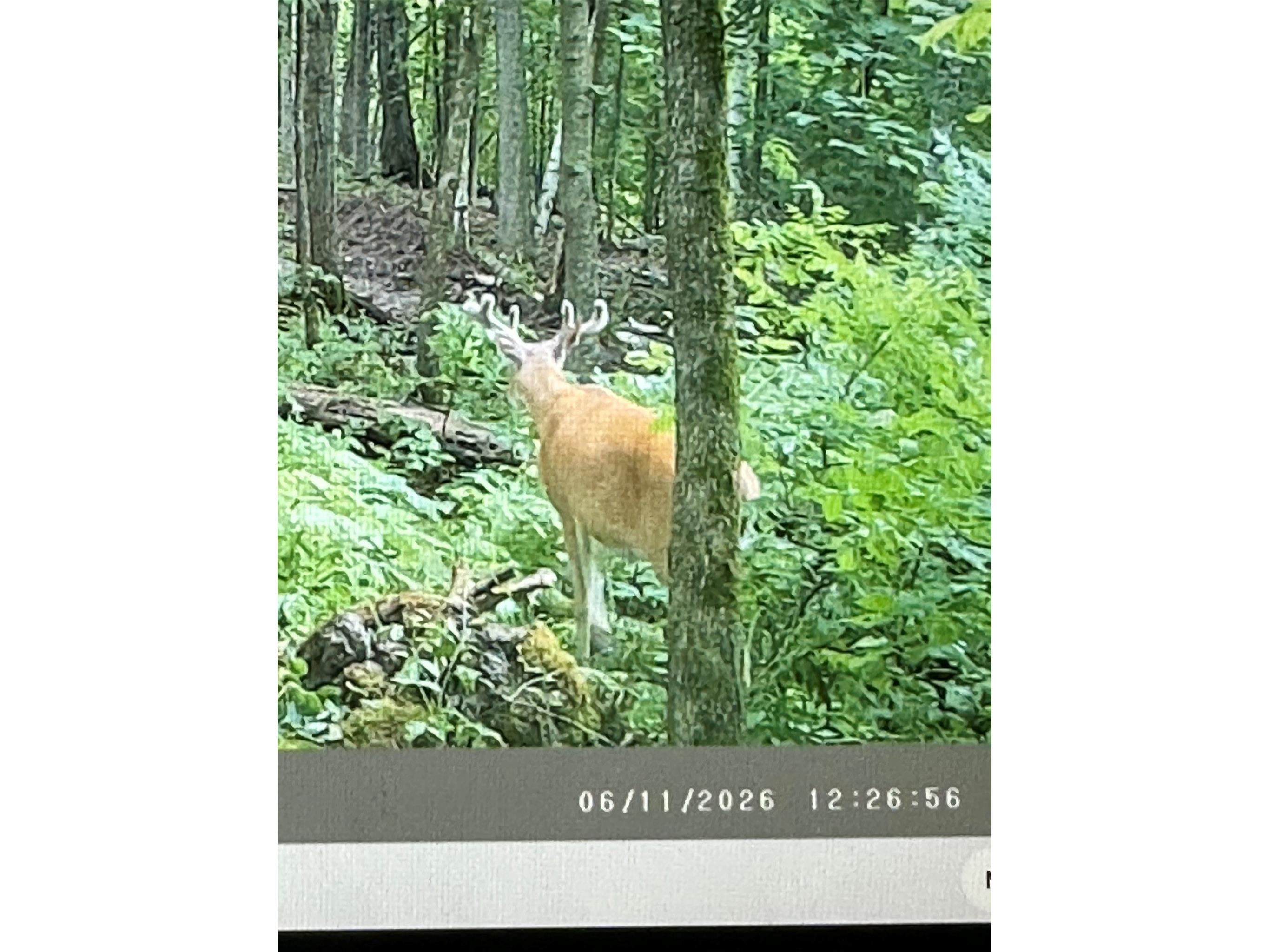 Lot 1 160th Ave Maiden Rock WI 54750 1601970 image14