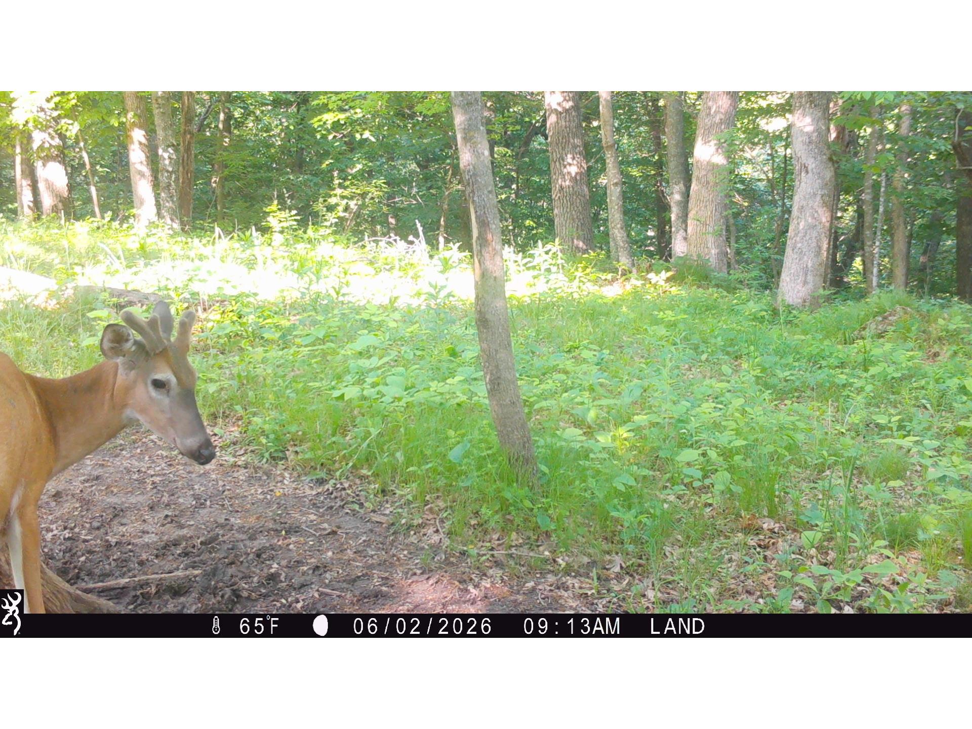 Lot 1 160th Ave Maiden Rock WI 54750 1601970 image16