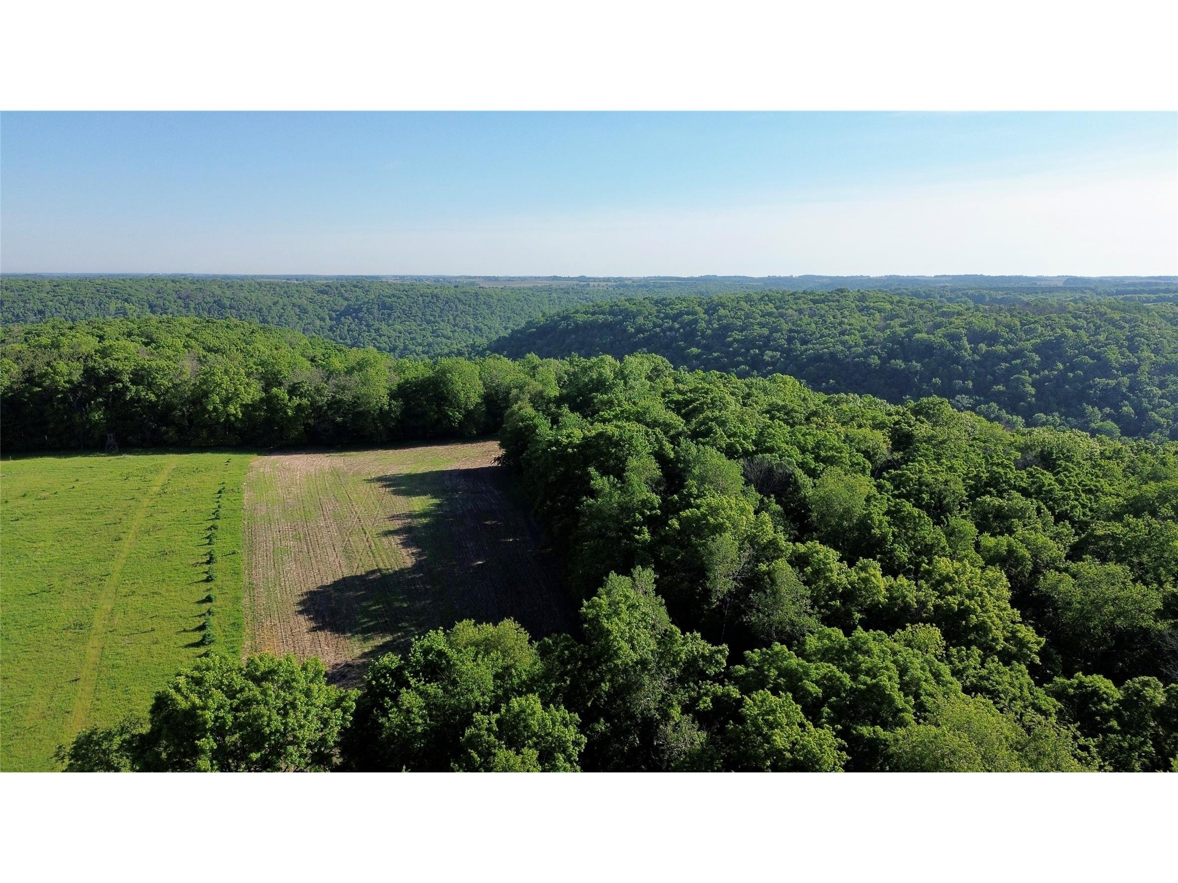 Lot 1 160th Ave Maiden Rock WI 54750 1601970 image18