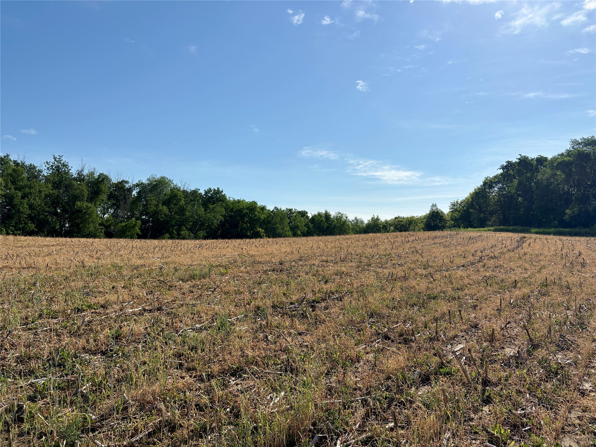 Lot 1 160th Ave Maiden Rock WI 54750 1601970 image19