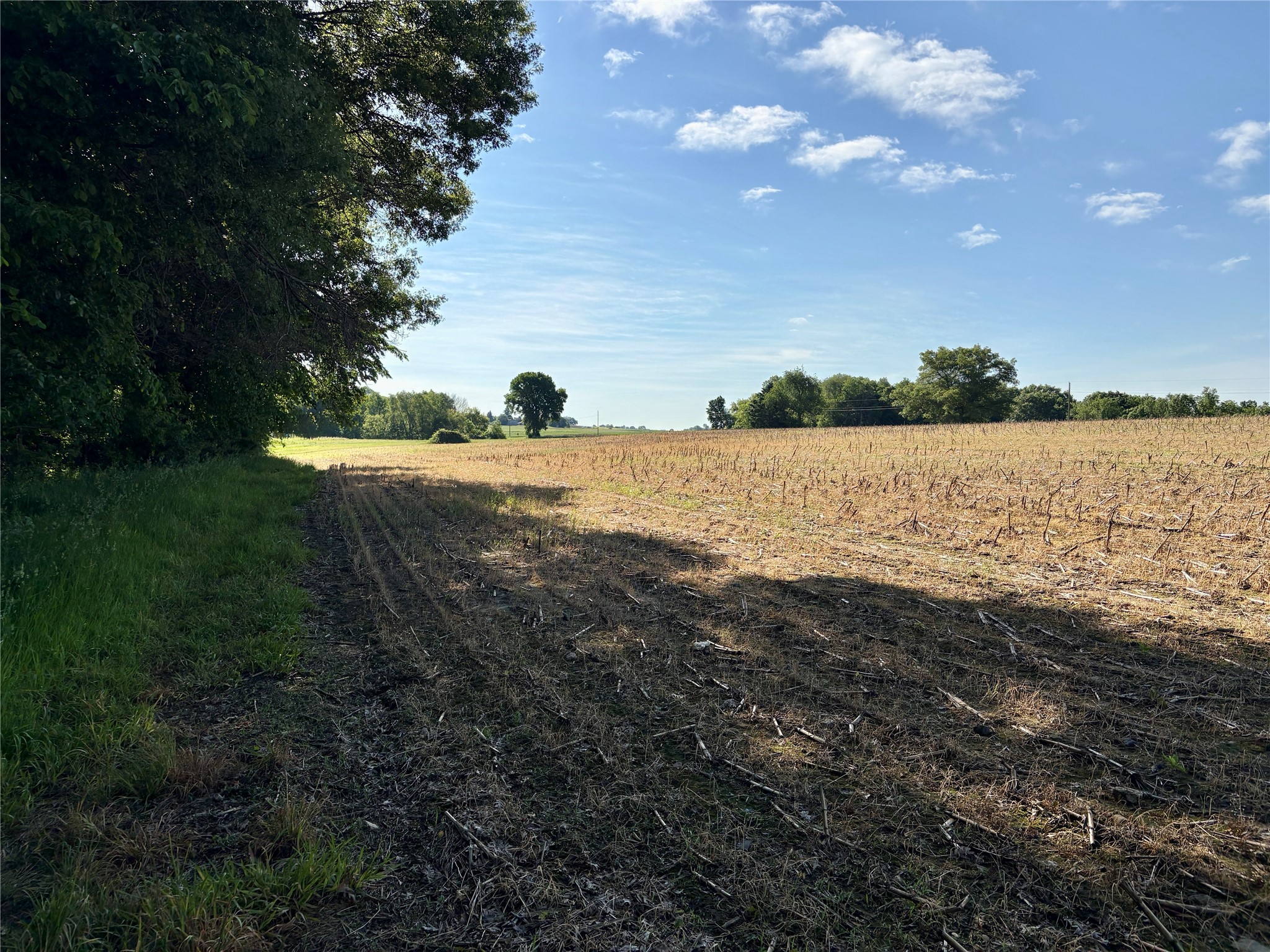 Lot 1 160th Ave Maiden Rock WI 54750 1601970 image20