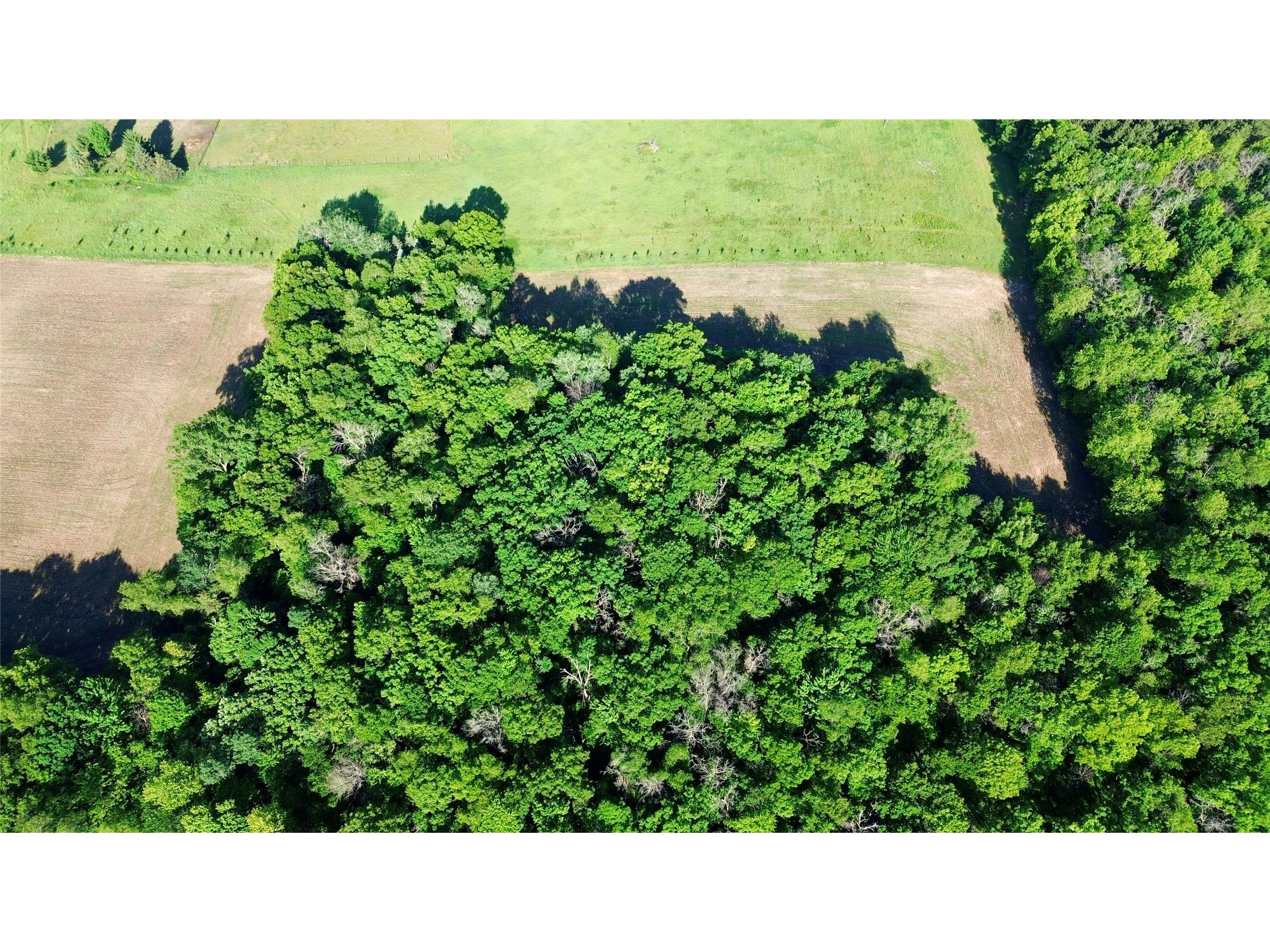 Lot 1 160th Ave Maiden Rock WI 54750 1601970 image3