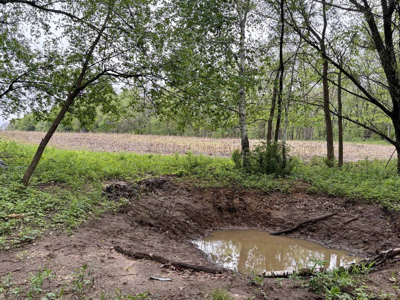 Lot 1 160th Ave Maiden Rock WI 54750 1601970 image36