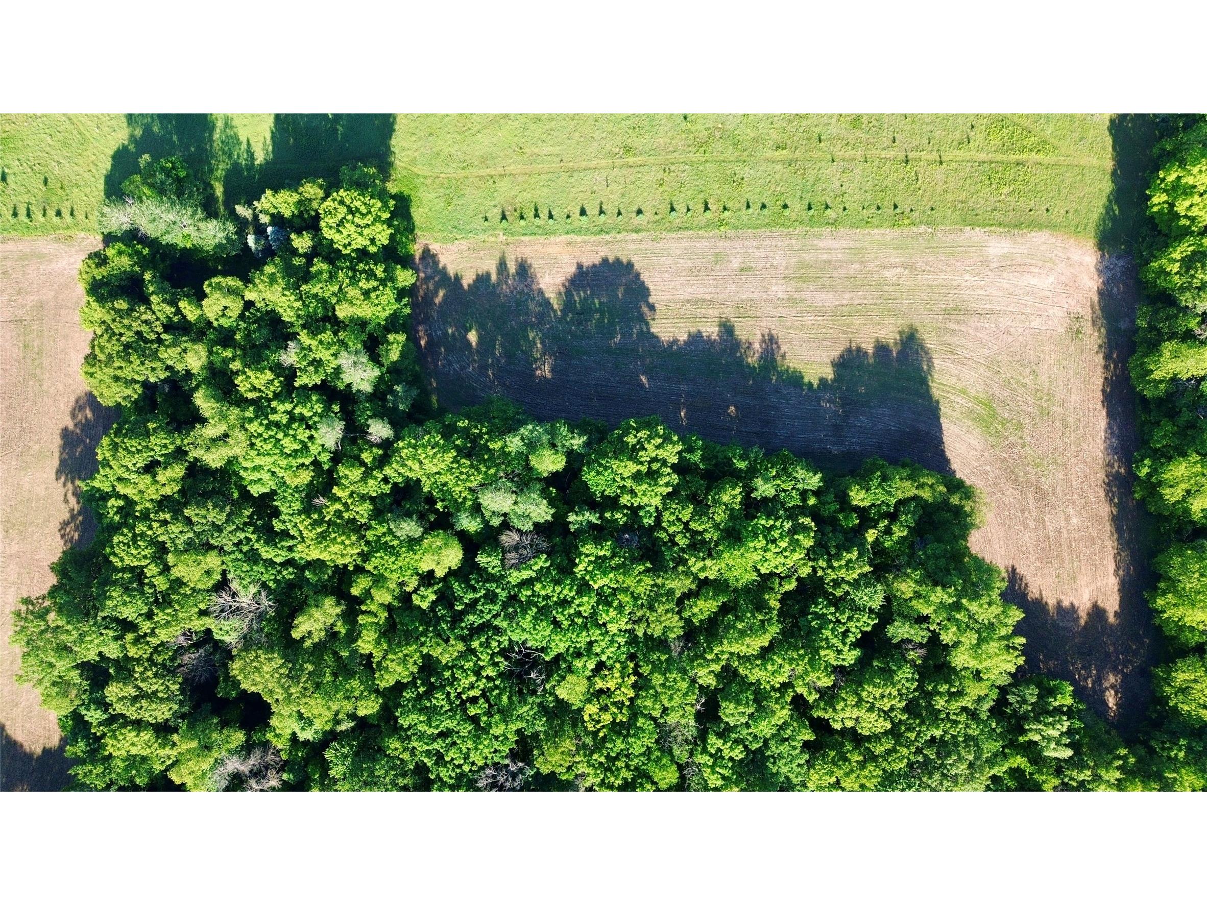 Lot 1 160th Ave Maiden Rock WI 54750 1601970 image4