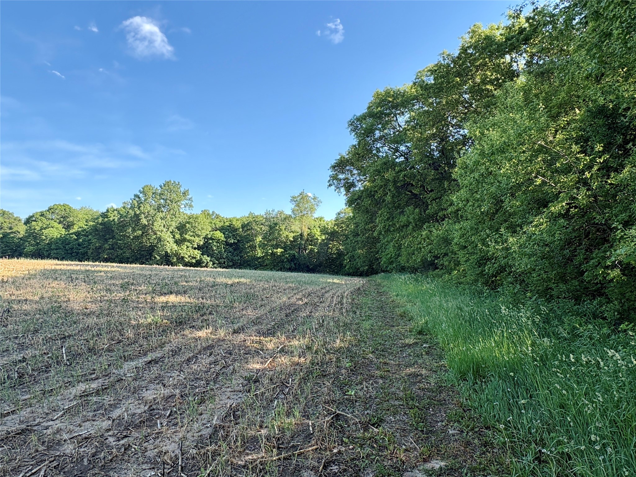 Lot 1 160th Ave Maiden Rock WI 54750 1601970 image42
