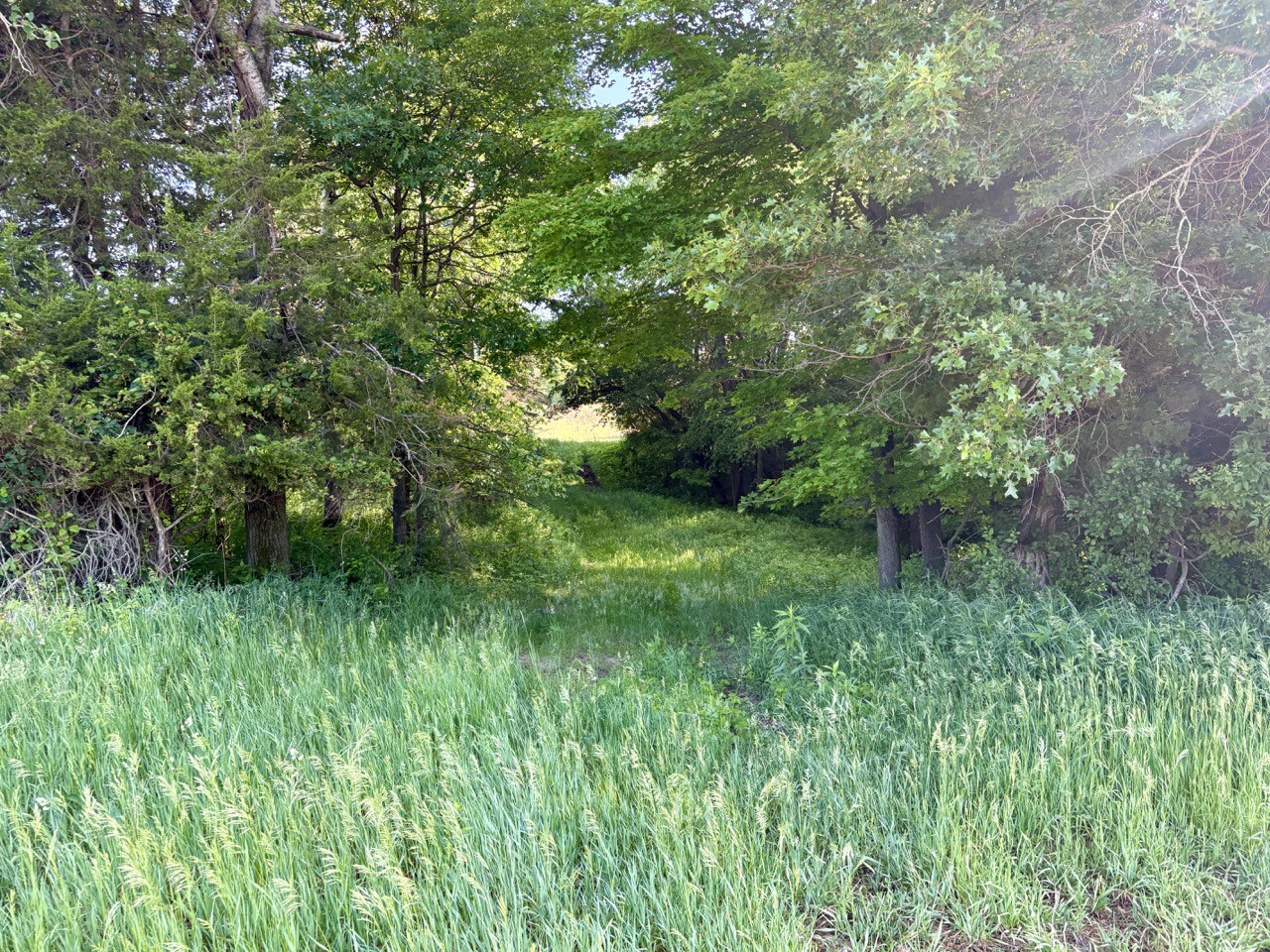 Lot 1 160th Ave Maiden Rock WI 54750 1601970 image43