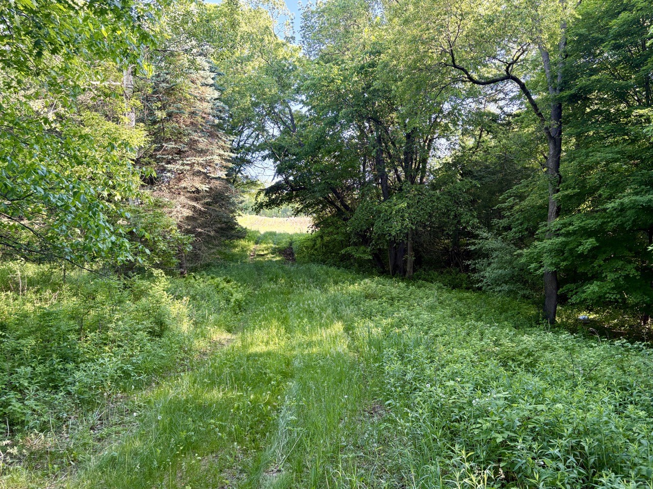 Lot 1 160th Ave Maiden Rock WI 54750 1601970 image44
