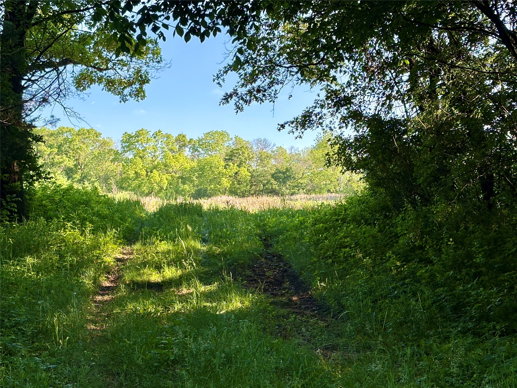 Lot 1 160th Ave Maiden Rock WI 54750 1601970 image45