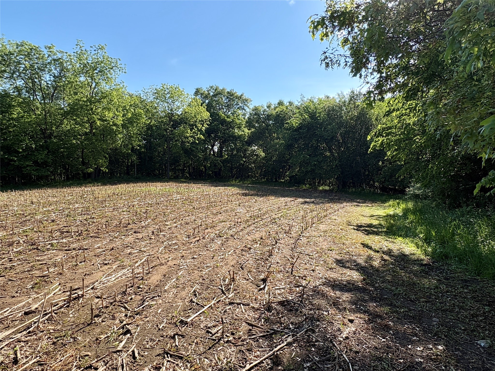 Lot 1 160th Ave Maiden Rock WI 54750 1601970 image46