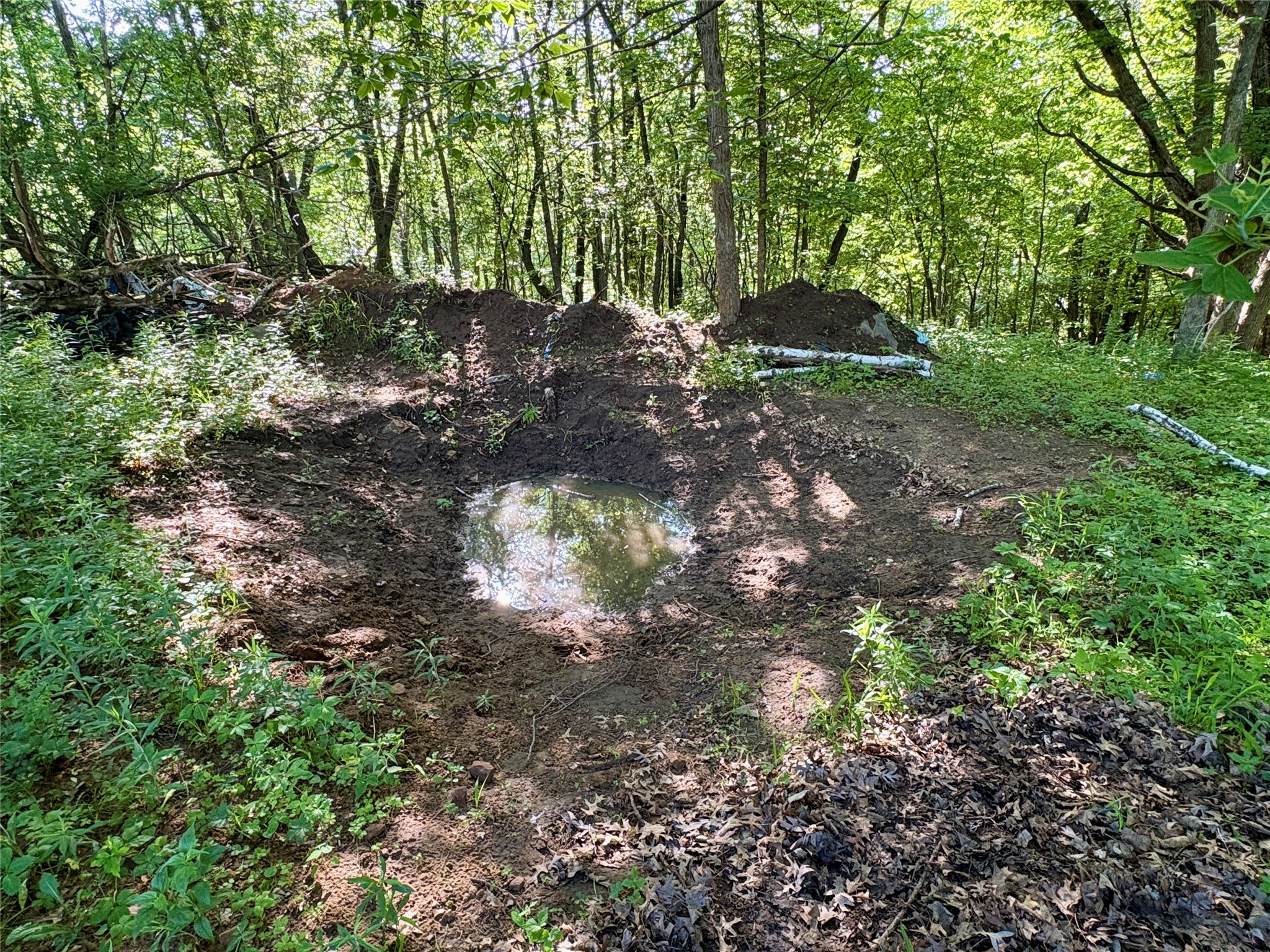 Lot 1 160th Ave Maiden Rock WI 54750 1601970 image47