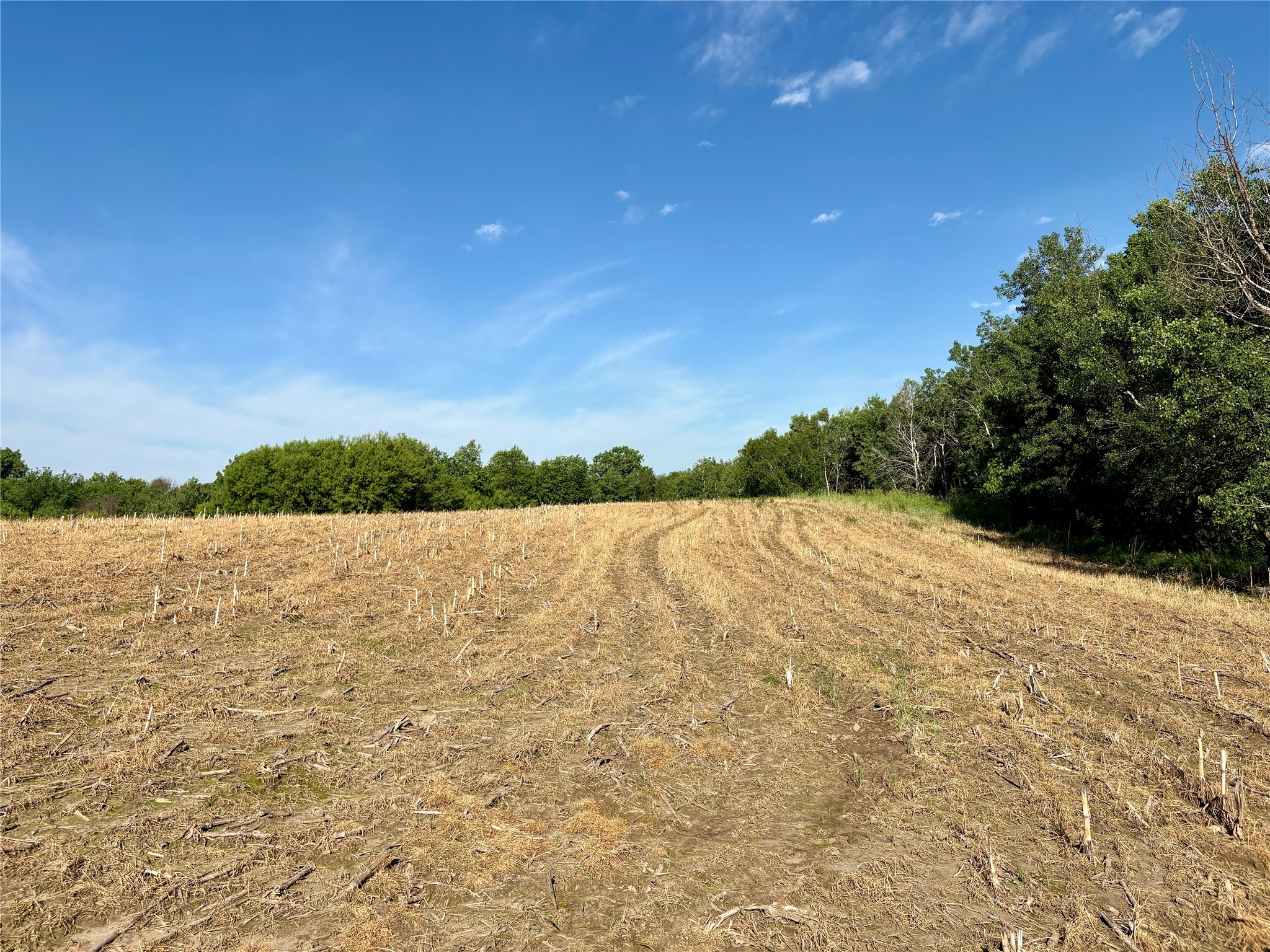 Lot 1 160th Ave Maiden Rock WI 54750 1601970 image49