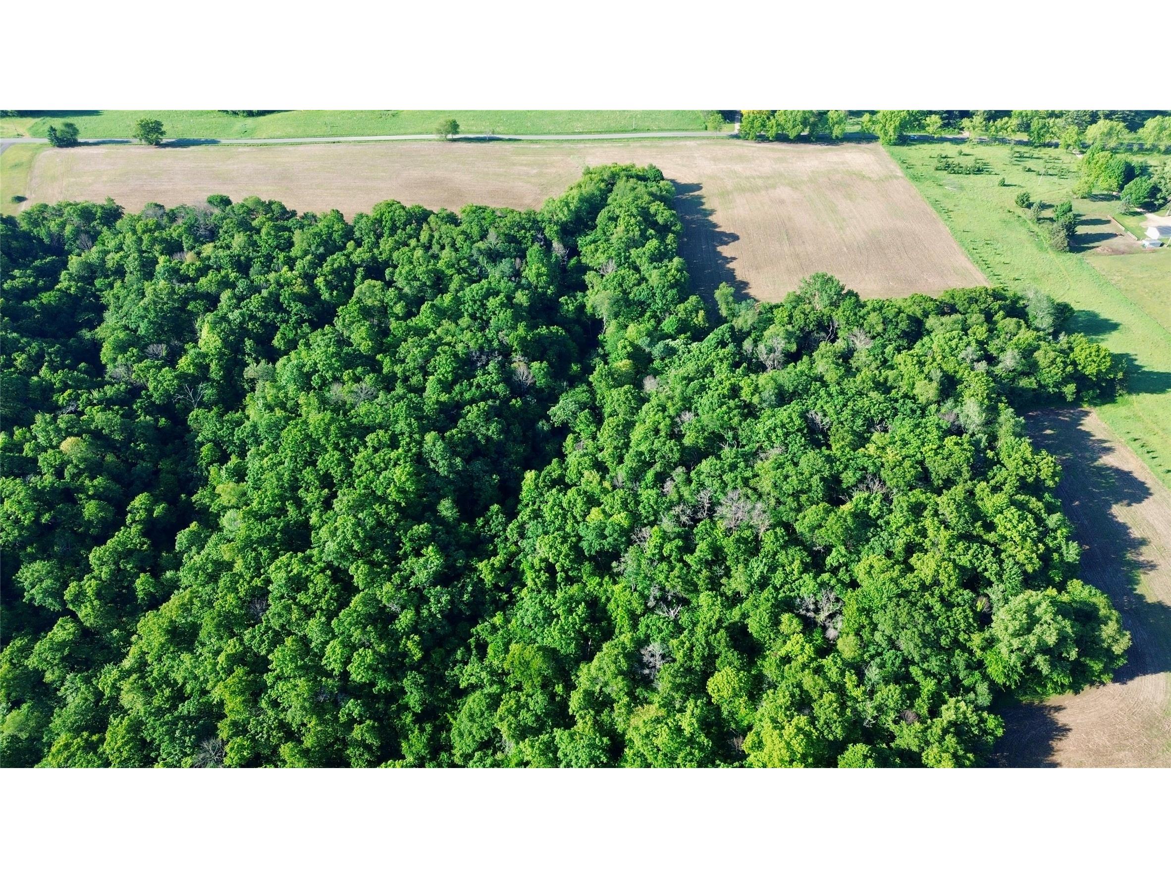 Lot 1 160th Ave Maiden Rock WI 54750 1601970 image6
