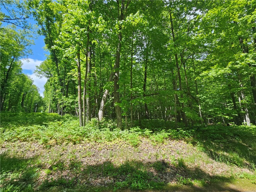 Lot 1 & 2 Linden Road Hayward WI 54843 1582505 image1