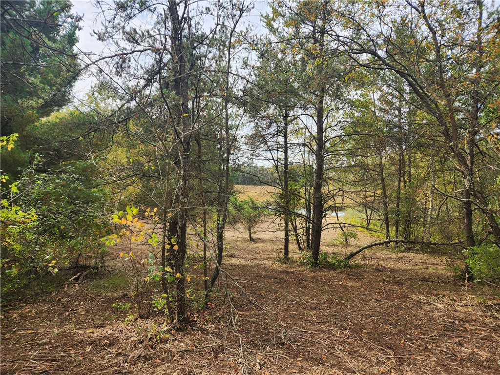 Lot 1 & 2 of CSM 1548 N County Road F Chetek WI 54728 - No name 1596727 image1