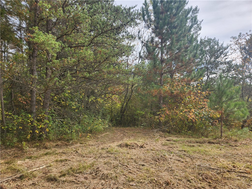 Lot 1 & 2 of CSM 1548 N County Road F Chetek WI 54728 - No name 1596727 image3