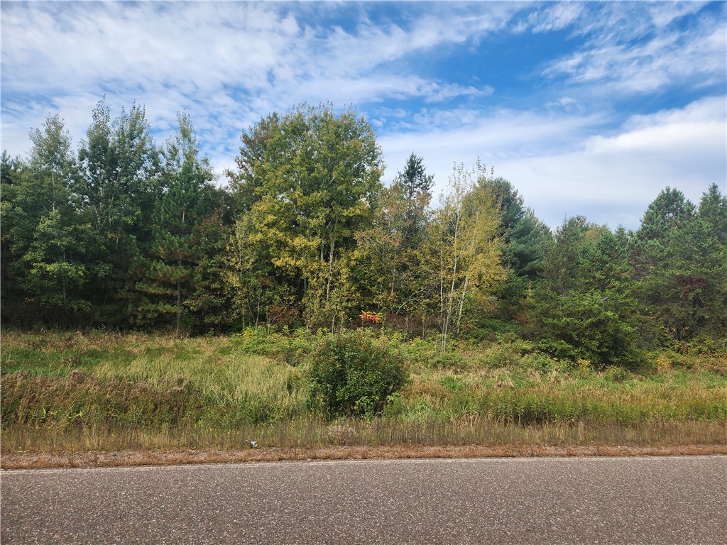 Lot 1 & 2 of CSM 1548 N County Road F Chetek WI 54728 - No name 1596727 image4