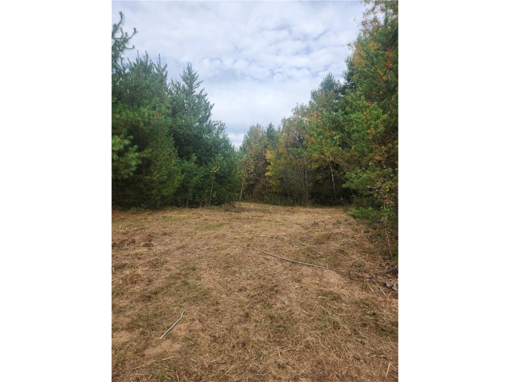 Lot 1 & 2 of CSM 1548 N County Road F Chetek WI 54728 - No name 1596727 image5