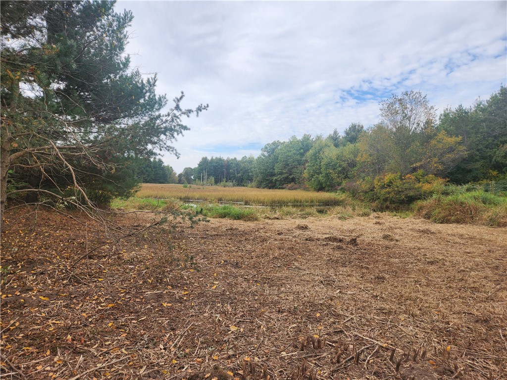 Lot 1 & 2 of CSM 1548 N County Road F Chetek WI 54728 - No name 1596727 image6