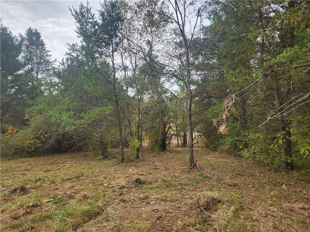 Lot 1 & 2 of CSM 1548 N County Road F Chetek WI 54728 - No name 1596727 image7