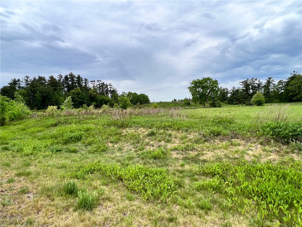 Lot 1 21st Street Rice Lake WI 54868 1571904 image1