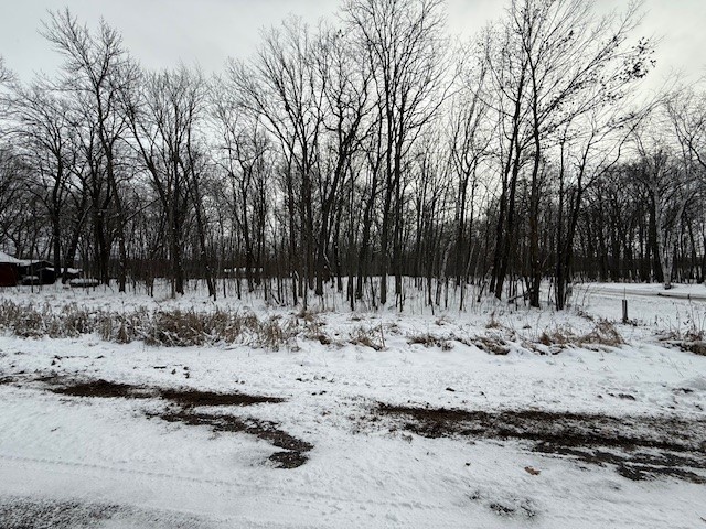 Lot 1 23 1/2 Avenue Rice Lake WI 54868 1597338 image2