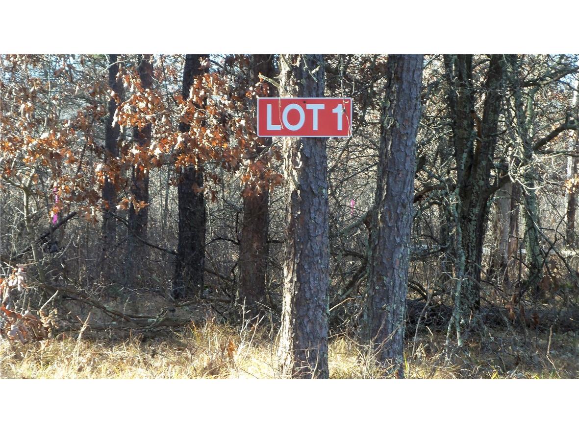 Lot 1 275th St St.Croix Falls WI 54024 - North Creek 1587899 image1