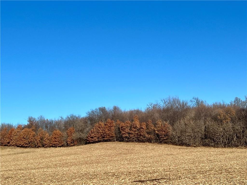 Lot 1 28th Avenue Elk Mound WI 54739 1578866 image1