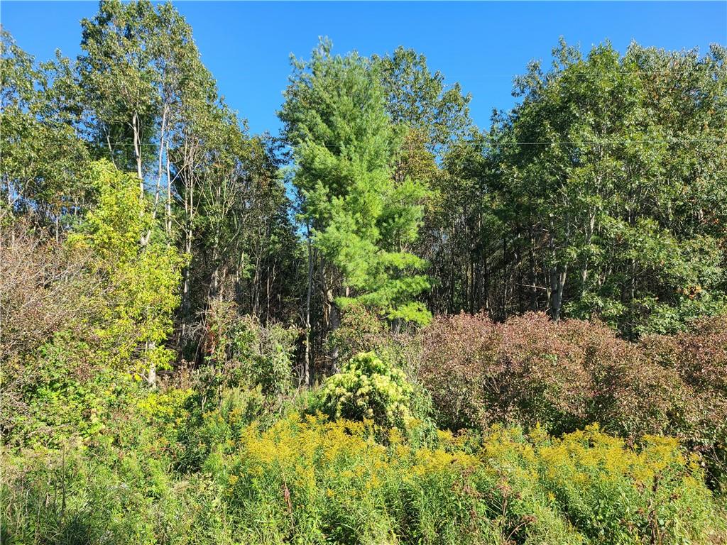 , Woodville, WI, 54028 MLS 1568858 Edina Realty