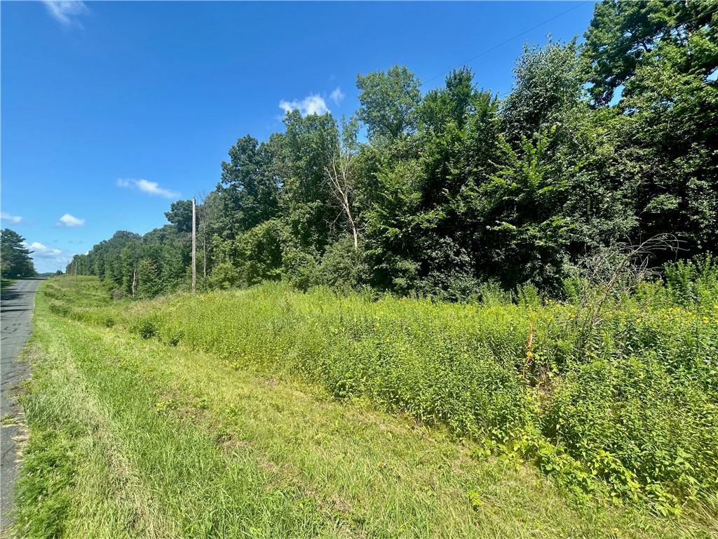 Lot 1 30th Avenue Amery WI 54001 1593972 image1