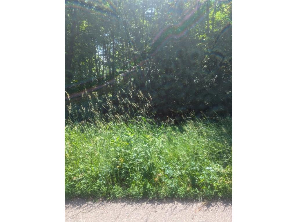 Lot 1 361st Street Stanley WI 54768 - Otter Lake 1593034 image1