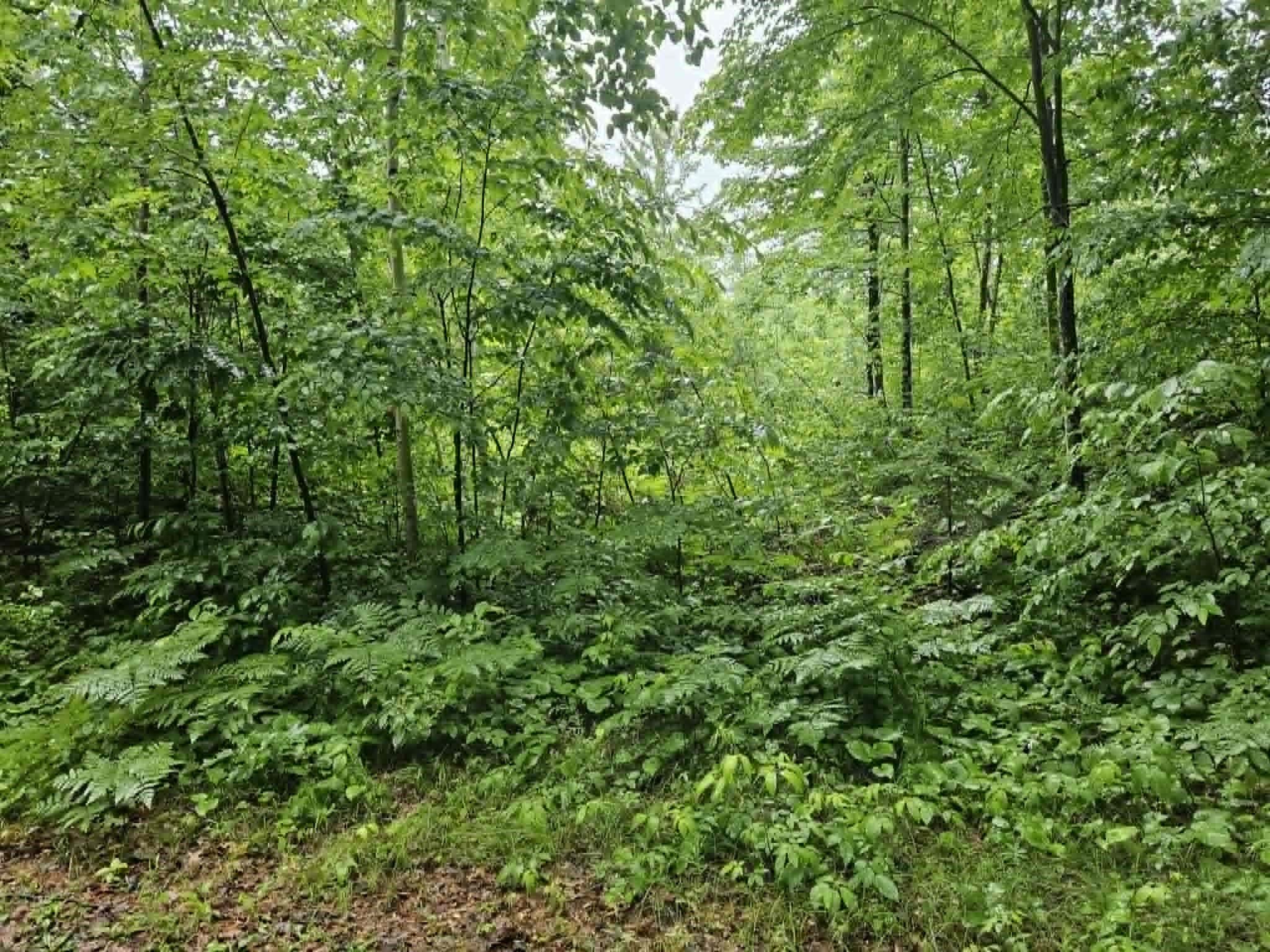 Lot 1-4 Hilly Lane Spooner WI 54801 1602451 image1