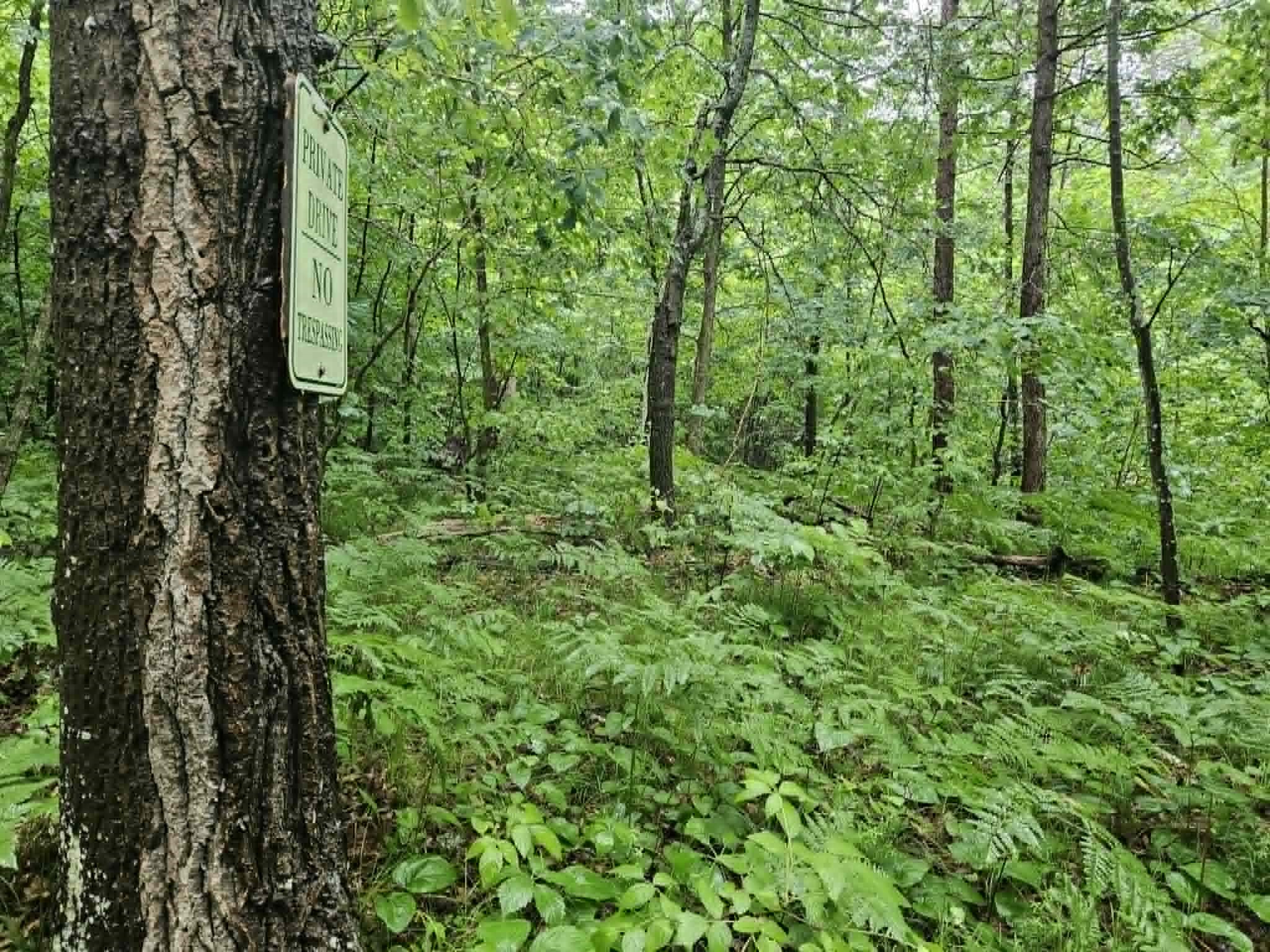 Lot 1-4 Hilly Lane Spooner WI 54801 1602451 image10