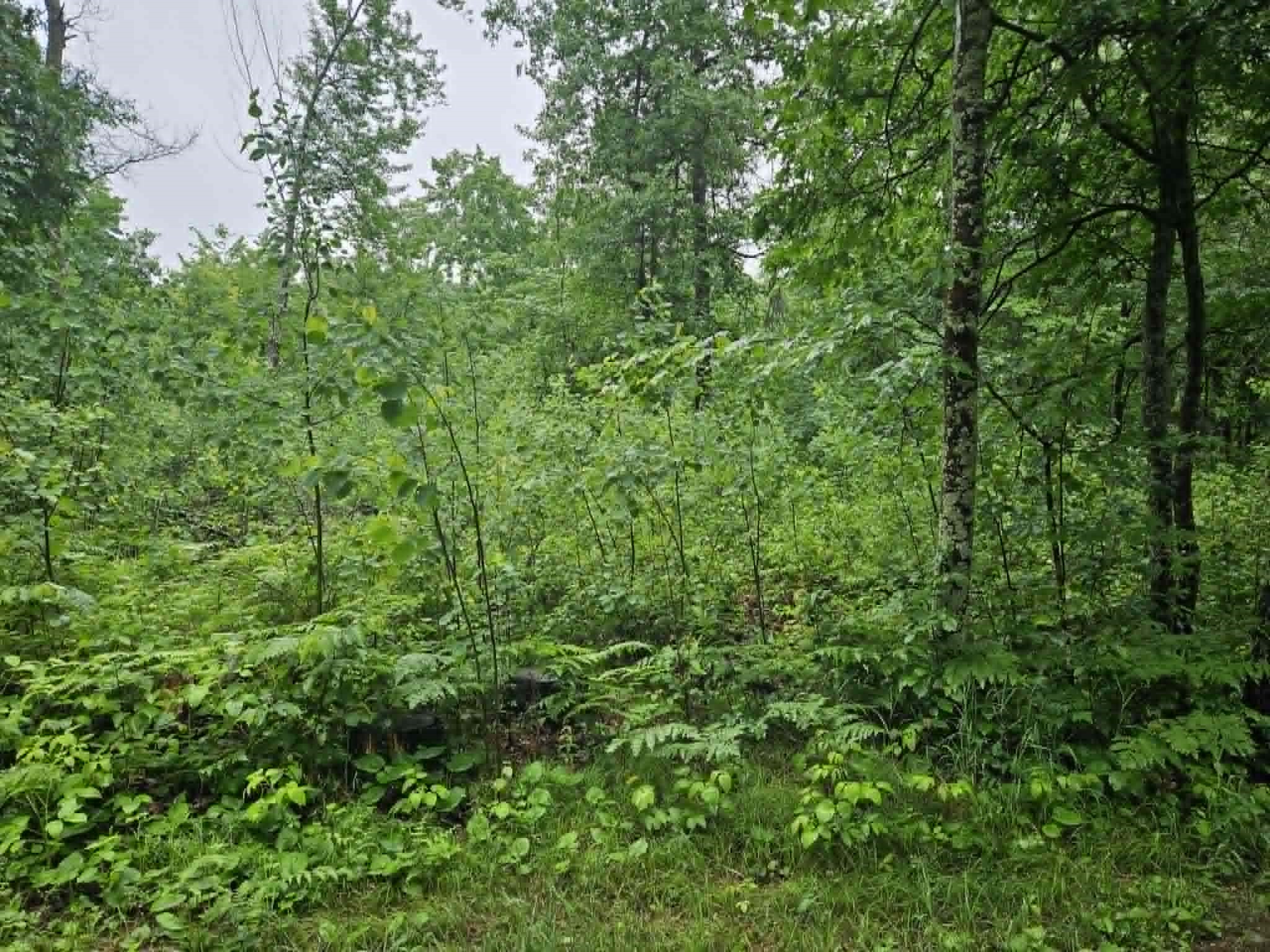 Lot 1-4 Hilly Lane Spooner WI 54801 1602451 image12