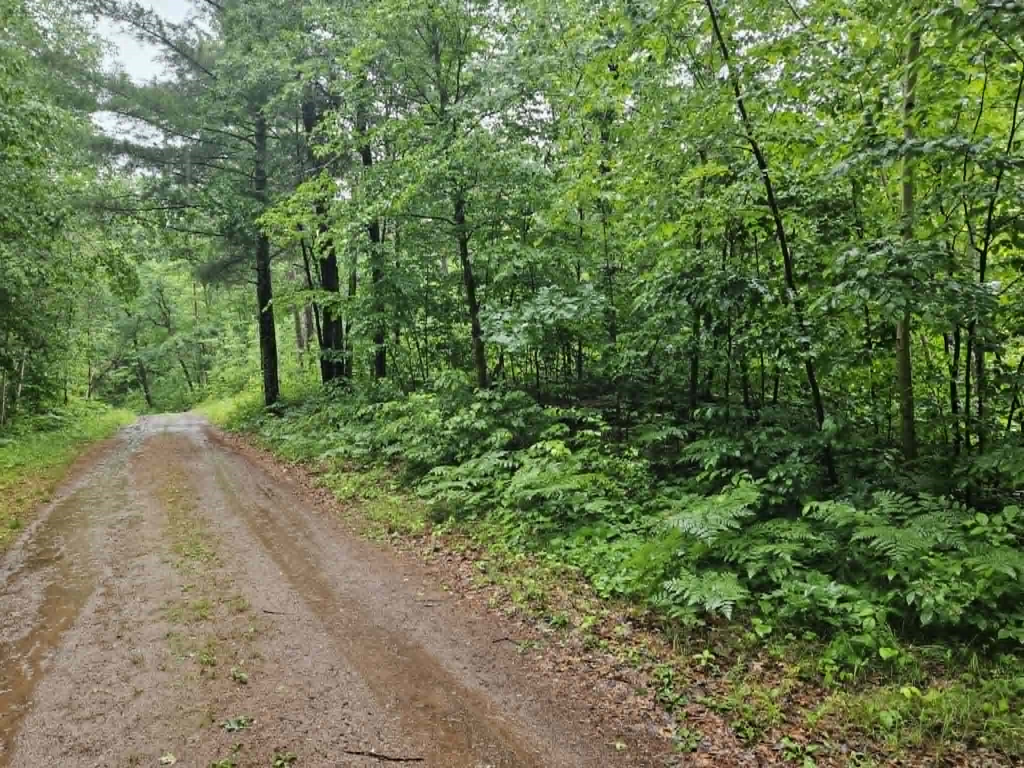 Lot 1-4 Hilly Lane Spooner WI 54801 1602451 image14