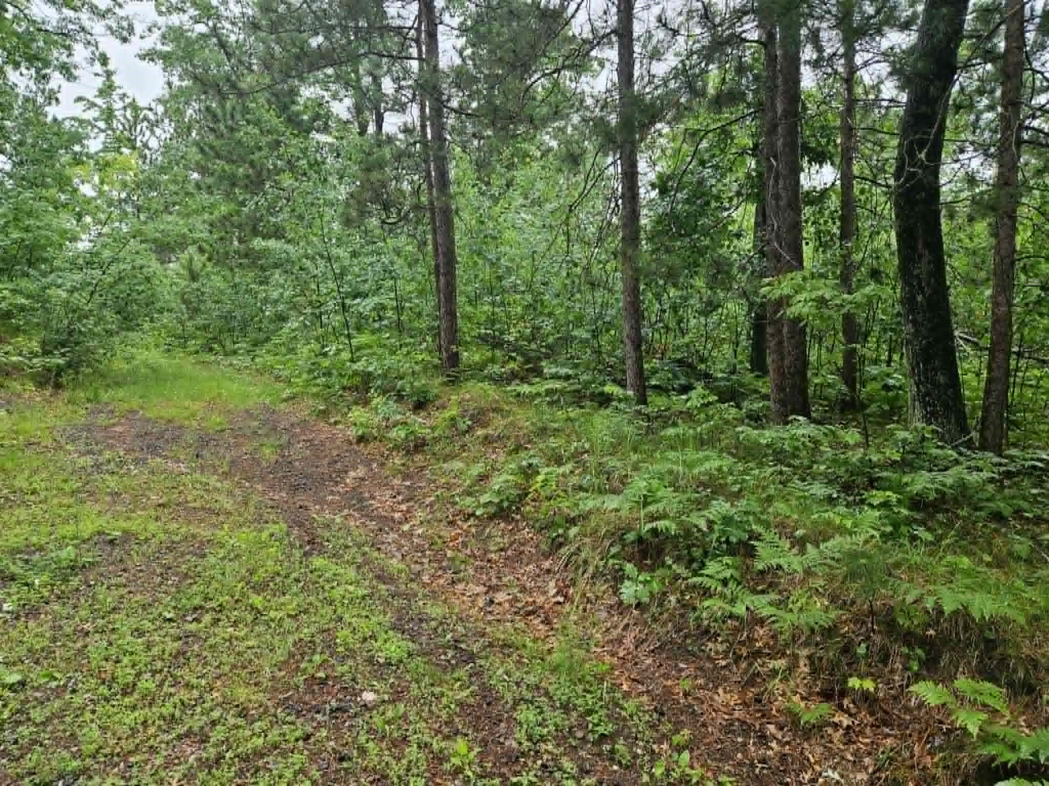 Lot 1-4 Hilly Lane Spooner WI 54801 1602451 image2