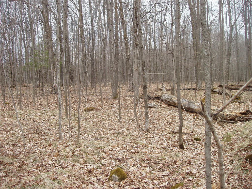 Lot 1 4th Add. Margaret Lane Park Falls WI 54552 1589967 image2
