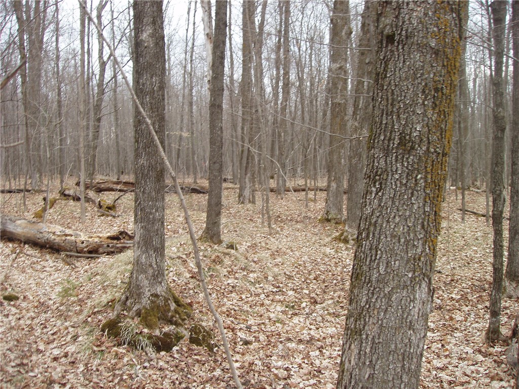 Lot 1 4th Add. Margaret Lane Park Falls WI 54552 1589967 image3