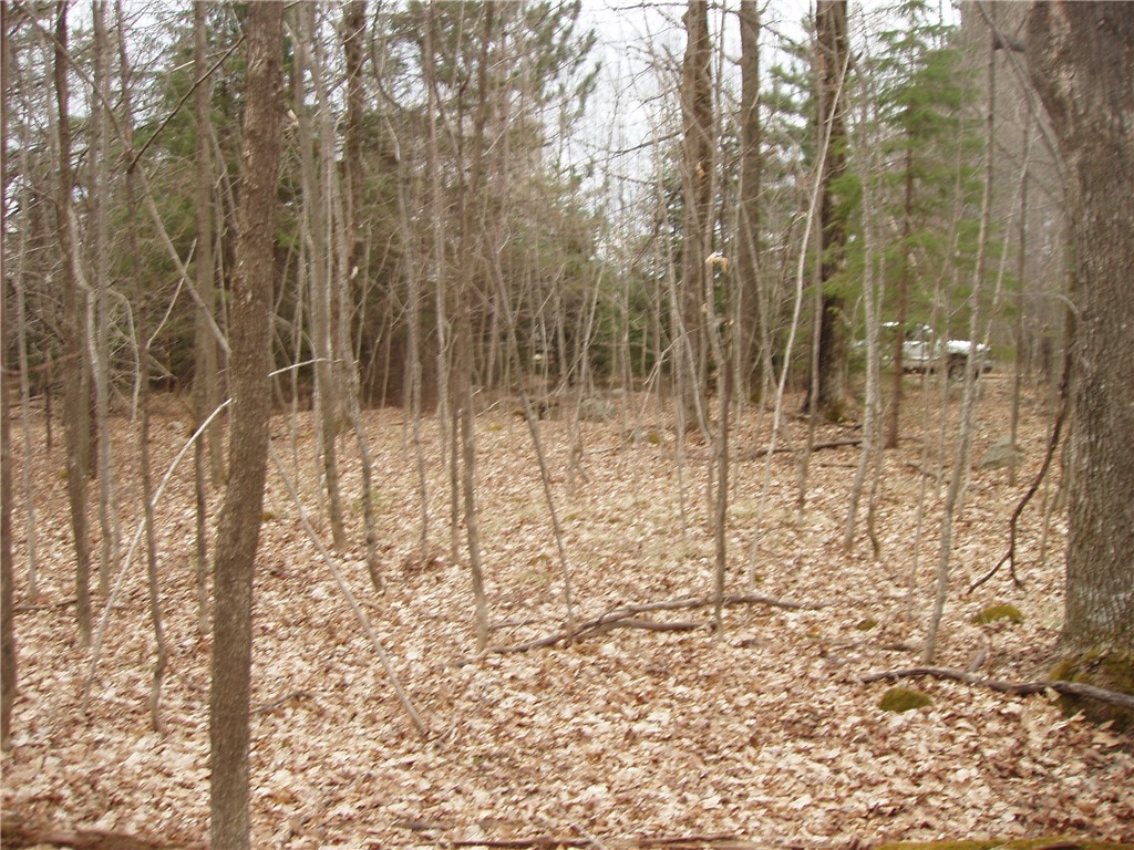 Lot 1 4th Add. Margaret Lane Park Falls WI 54552 1589967 image4