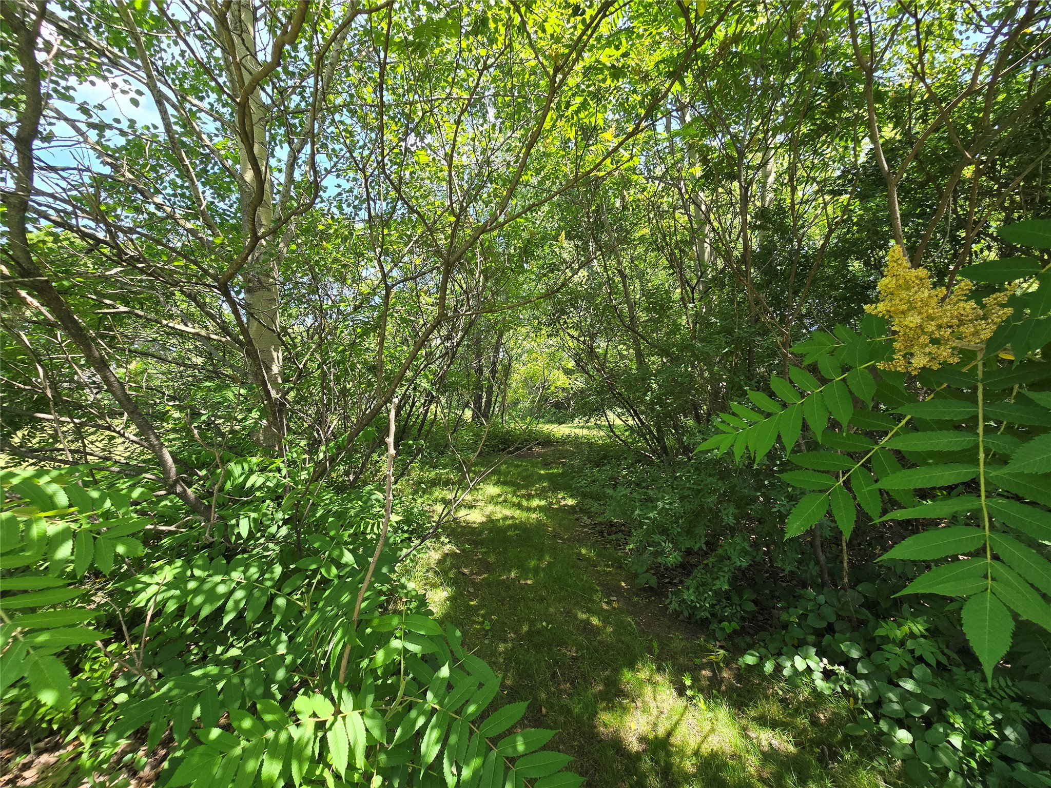 Lot 1 91st Avenue Chippewa Falls WI 54729 - Lake Wissota 1602657 image10