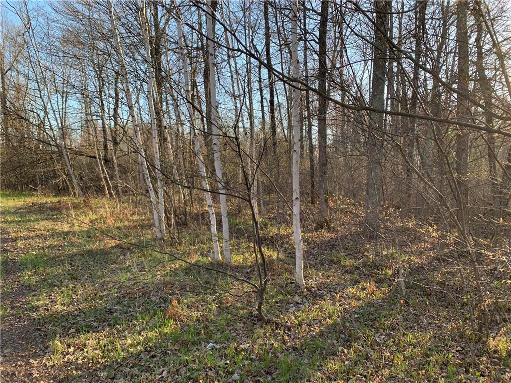 Lot 1 Bear Paw Road Bruce WI 54819 1581748 image1