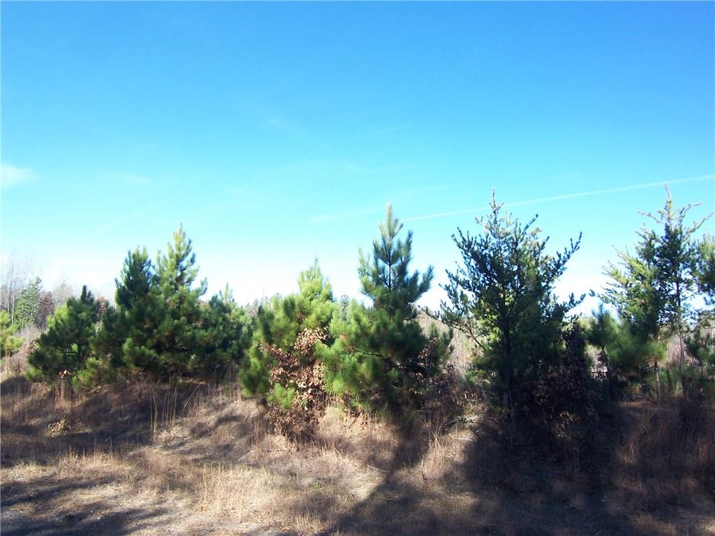 Lot 1 Black Brook Road Webster WI 54893 1560324 image1