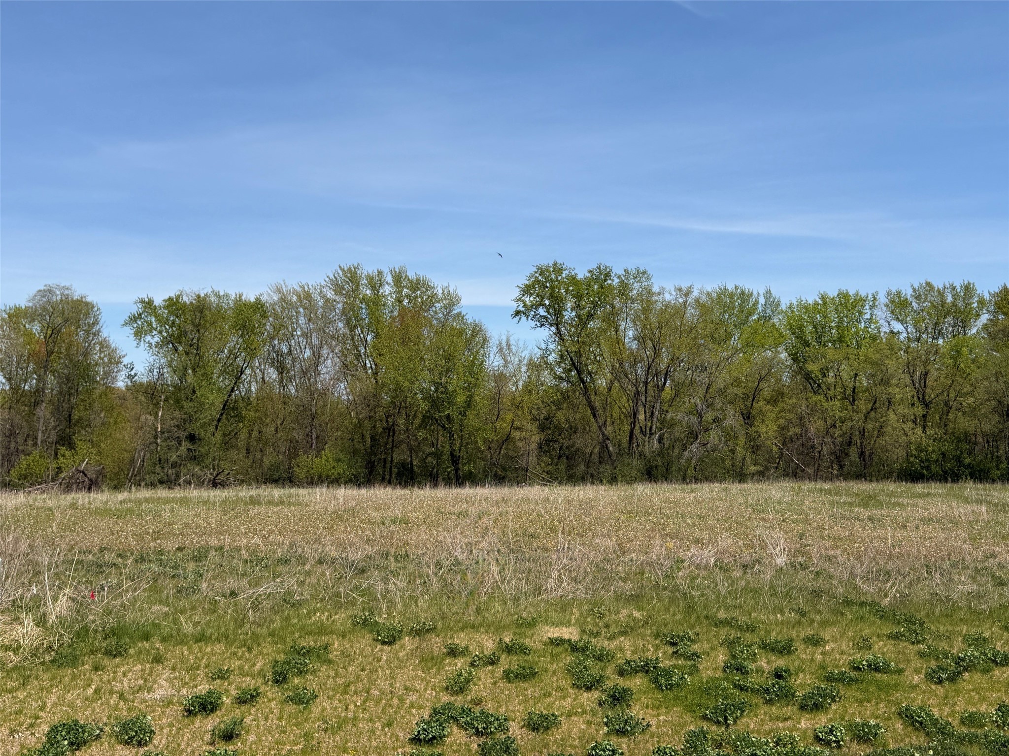 Lot 1 Blackstone Trail Eleva WI 54738 1588649 image2