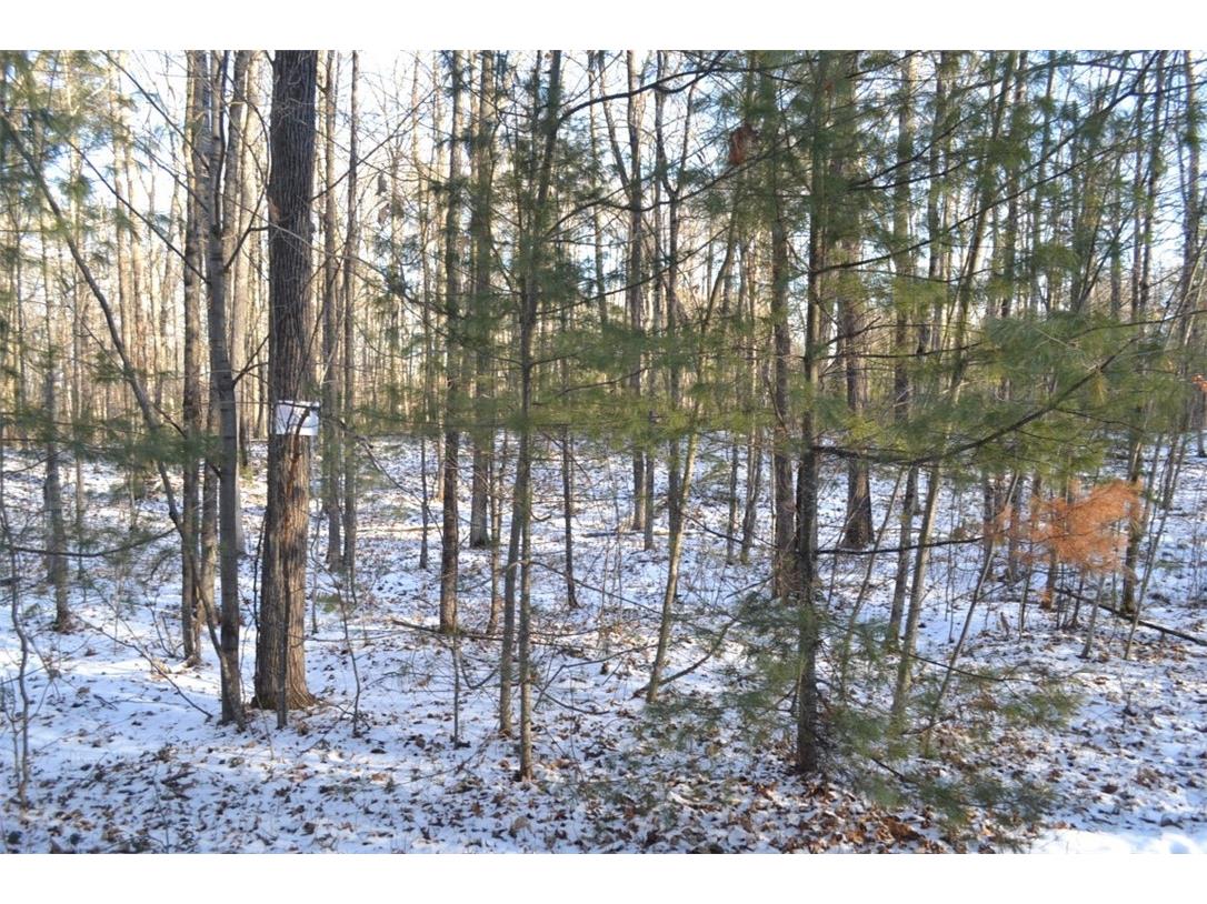 Lot 1 Brossard Road Hayward WI 54843 1588037 image1