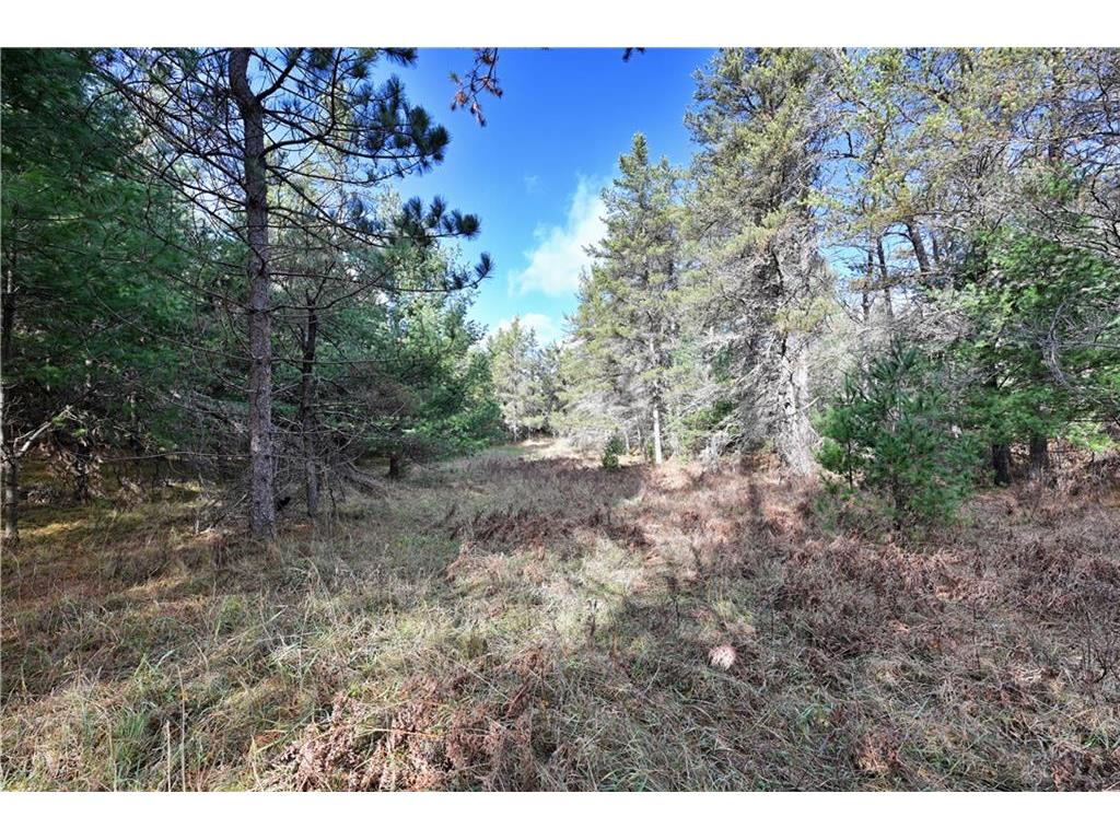 Lot 1 CSM 1072 N Bondegard Road Cable WI 54821 1587161 image1